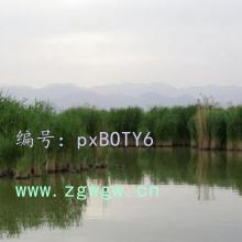 ½