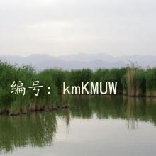 赸