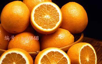ģ