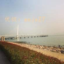 ˫