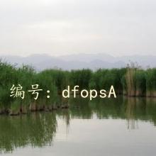 ѧУ